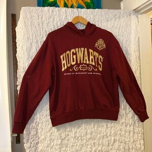 Harry Potter Wizarding World: Maroon & Gold Hoodie, Size: XXL (Child)
